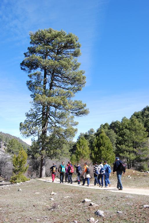 Albergue Inturjoven Cazorla Exterior photo